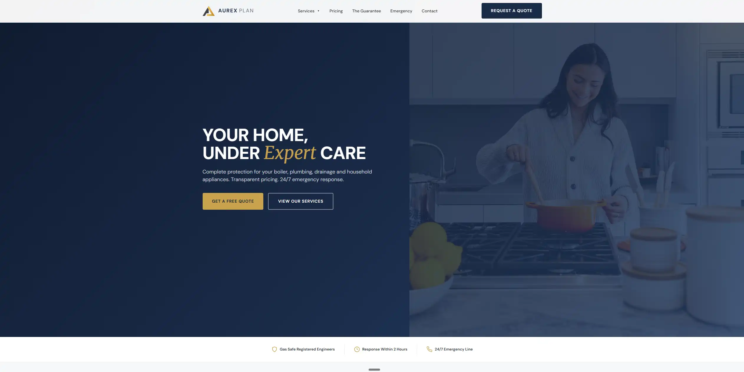 Aurex Plan desktop website preview